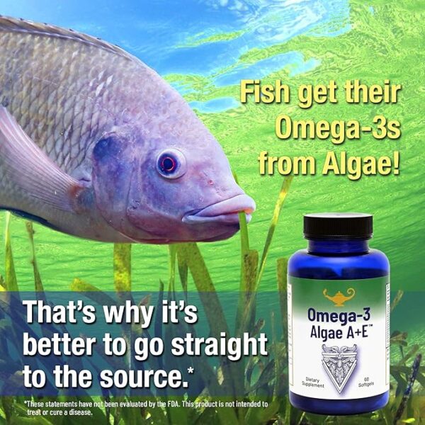 Omega 3 Algae A+E® - Image 3