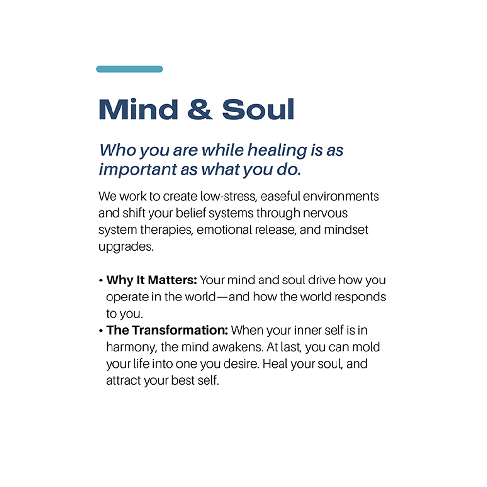 The Zenka Effect more website wireframes copy-12