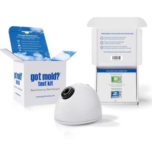 Advanced Mold Home Test